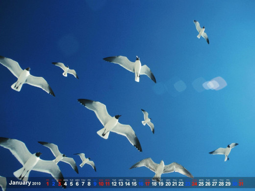 401649 (a): :1600x1200